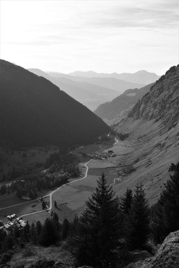 La Maizon Du Bois - Le Haut Appartement De 130 M2 - Le Bas Appartement De 70 M2 La Plagne Exteriör bild